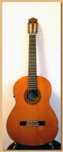 guitars23
